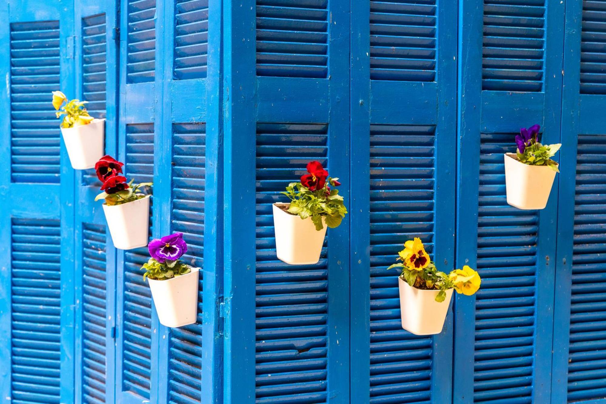 Apartamento Oasis In The Centre Atenas Exterior foto